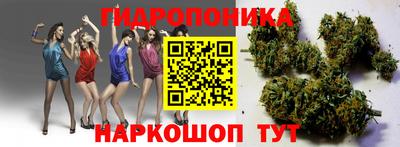 круглые Будённовск
