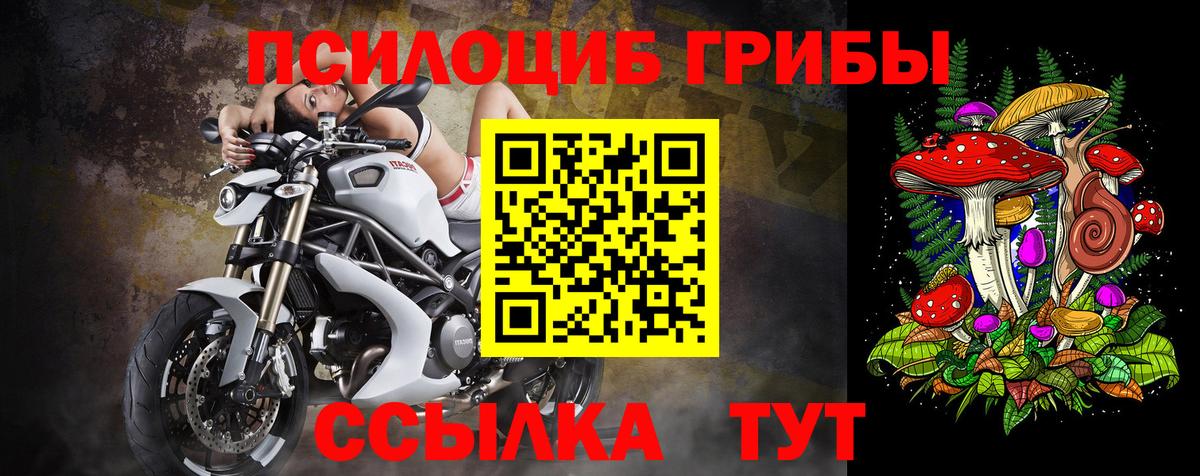 Псилоцибиновые грибы Cubensis Саянск